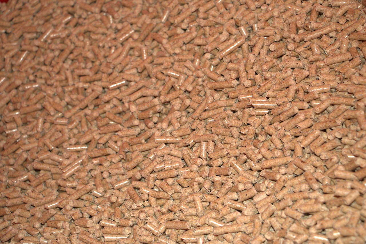 Jak zacząć produkcję pelletu opałowego? Krok po kroku